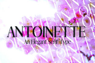 Antoinette Typeface Review: Timeless Elegance for Editorial Design