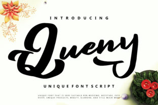 Queny: A Bold Script Handwritten Typeface for Modern Brand Identity
